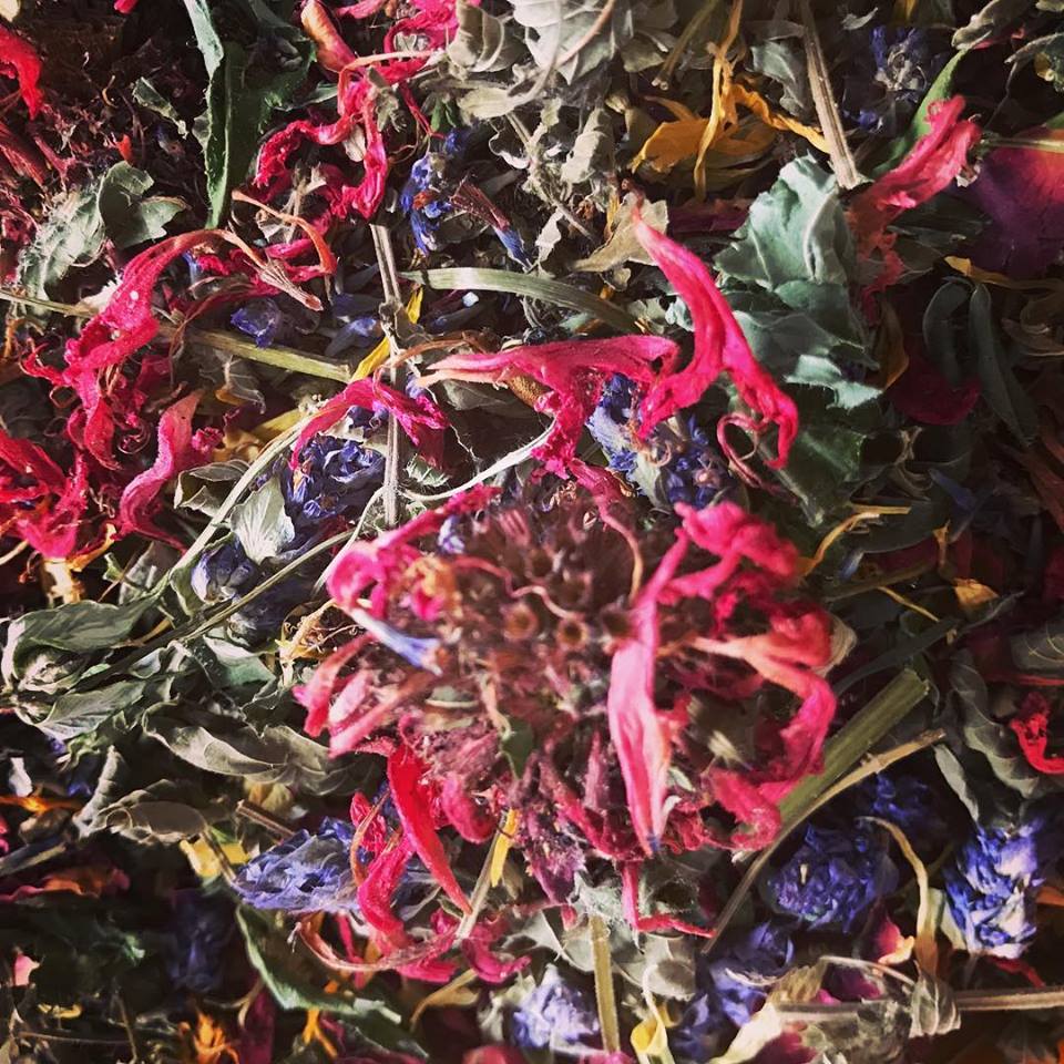 Bliss Blend - Image 5