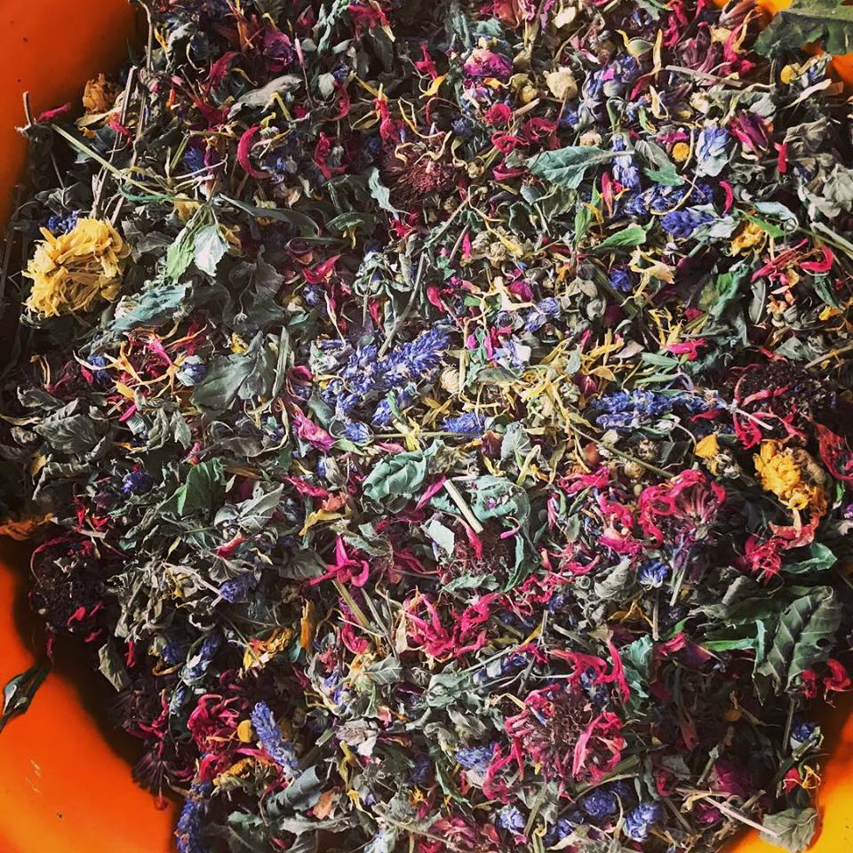 Bliss Blend - Image 4