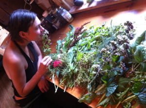 Herbal Vinegar - Image 3