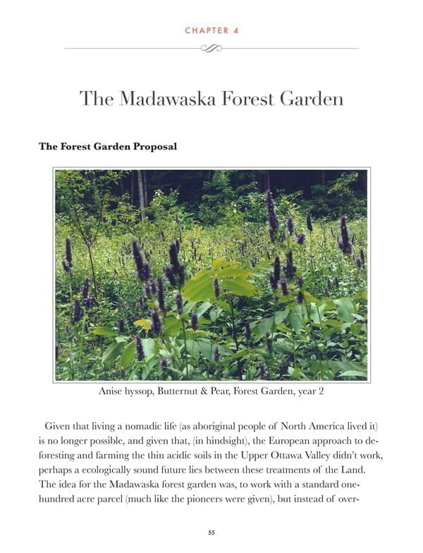 Madawaska Forest Garden - Image 3