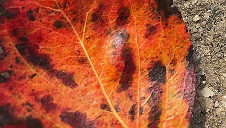 Fall Equinox