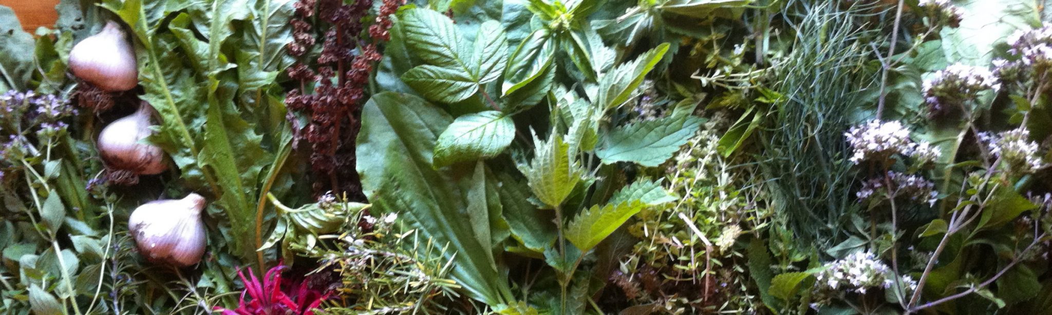 Herbal Vinegar