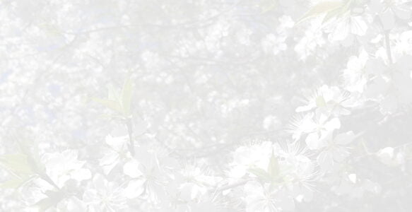The Sacred Gardener