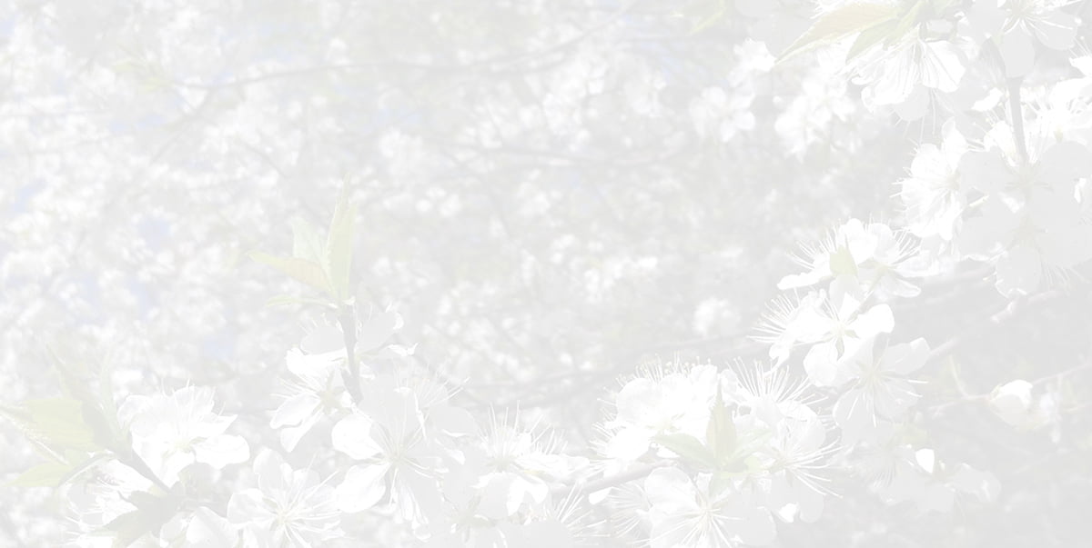 The Sacred Gardener