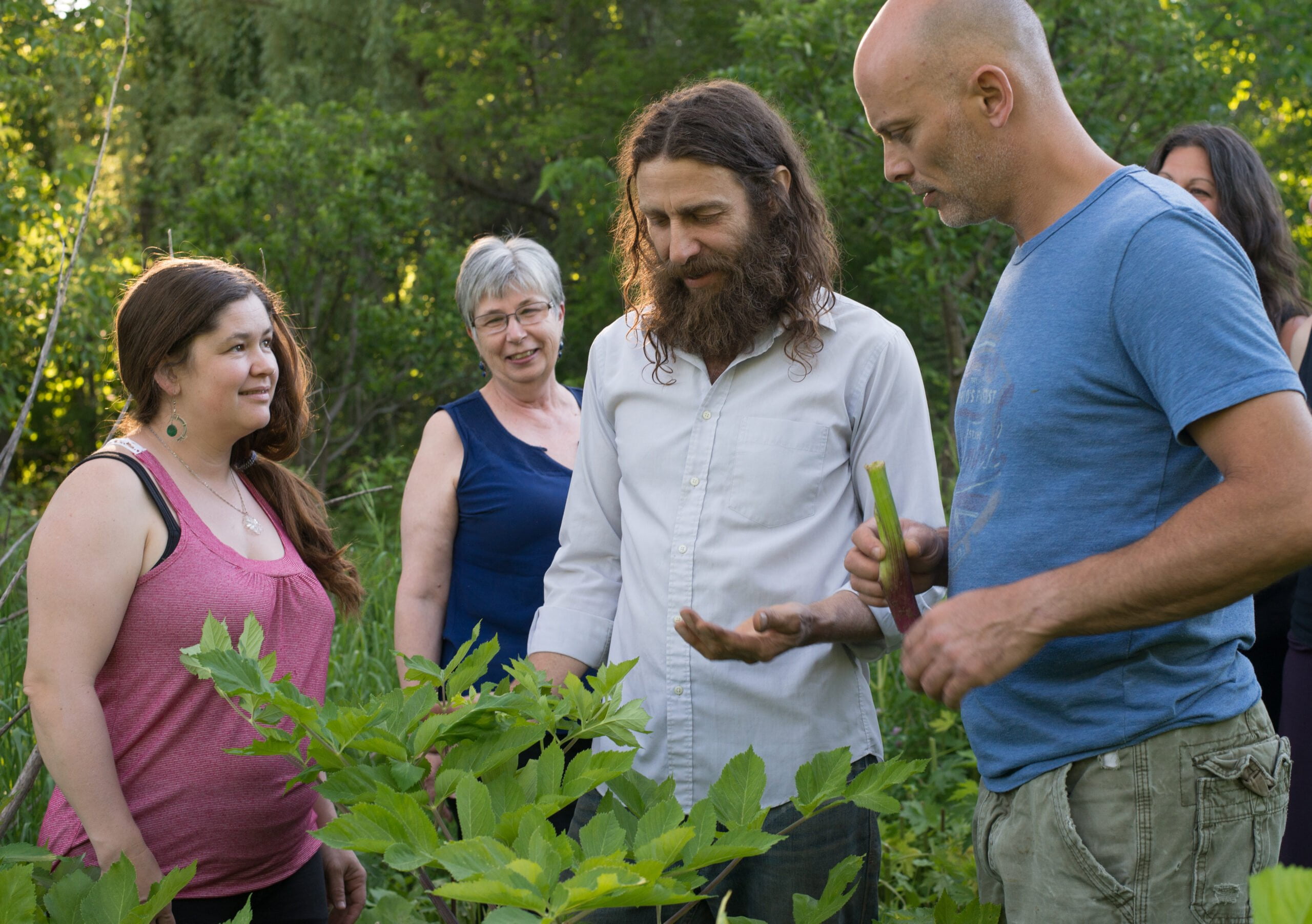 The Sacred Gardener