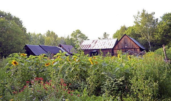 The Sacred Gardener Farm