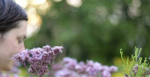 The Long Dance: Ten Thousand Years of Gardening Ceremony