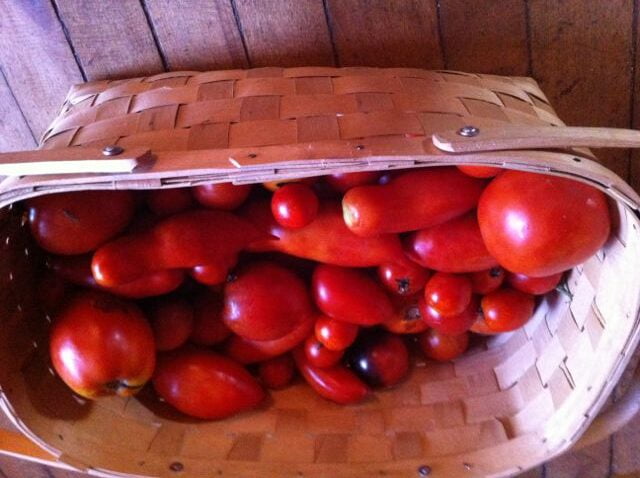 tombasket
