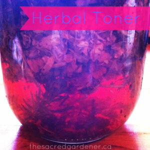 Witch Hazel Infusing with herbs. Check out the incredible colour!