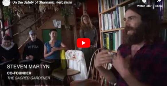 On the Safety of Shamanic Herbalism