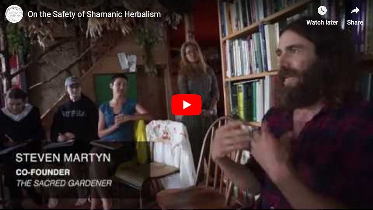 On the Safety of Shamanic Herbalism