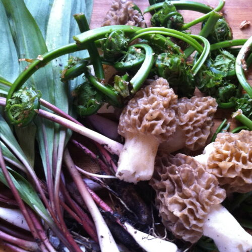 Initiatory Portal ~ Spring: Back to the Garden: May 12-16, 2027