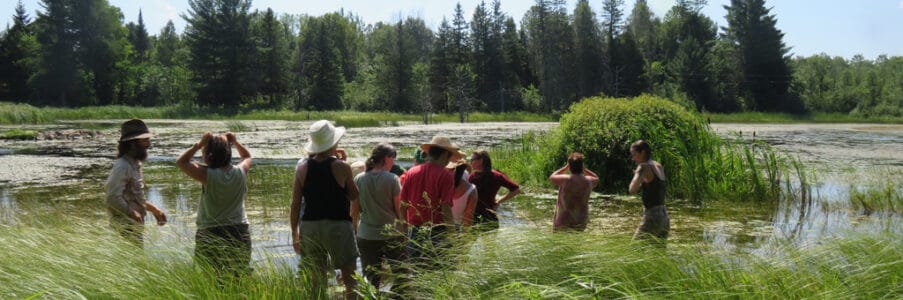 Is the Sacred Gardener School for you? What’s Included, the Cost and FAQ