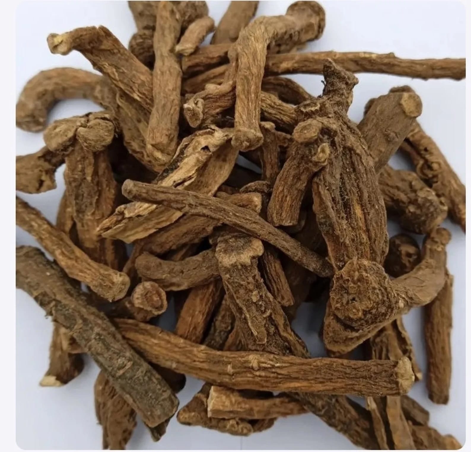Dandelion Root