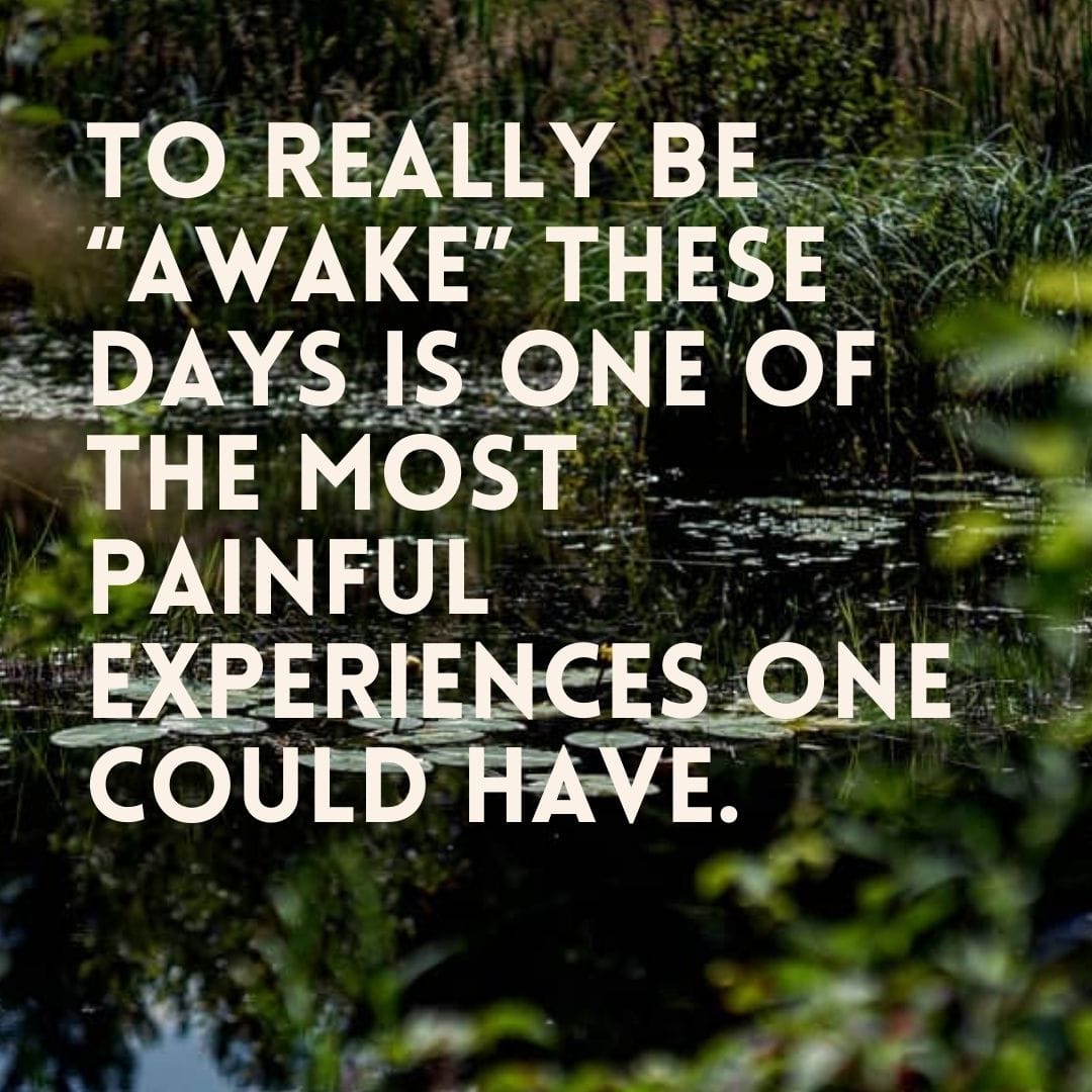 Co-Creative Wake: Online Course - Image 2