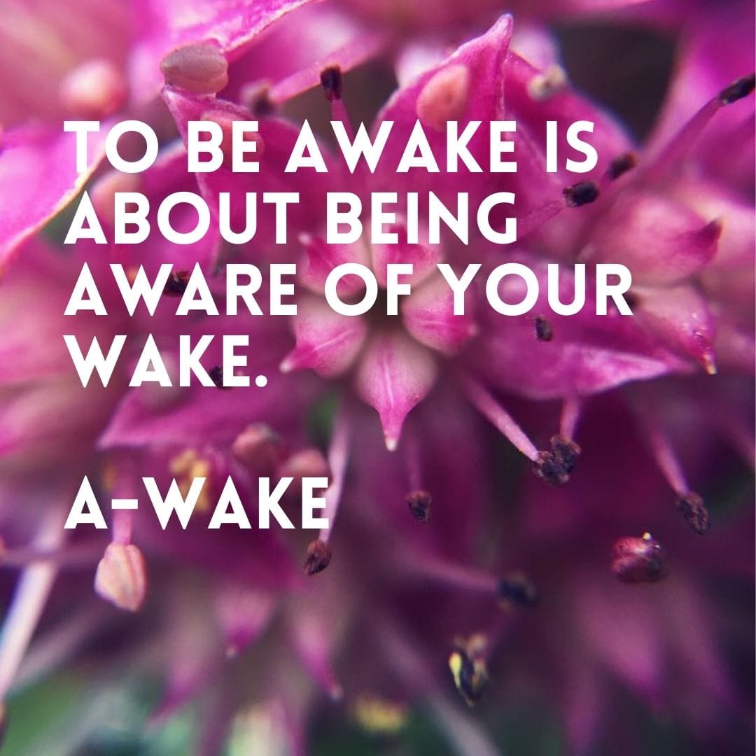 Co-Creative Wake: Online Course - Image 3