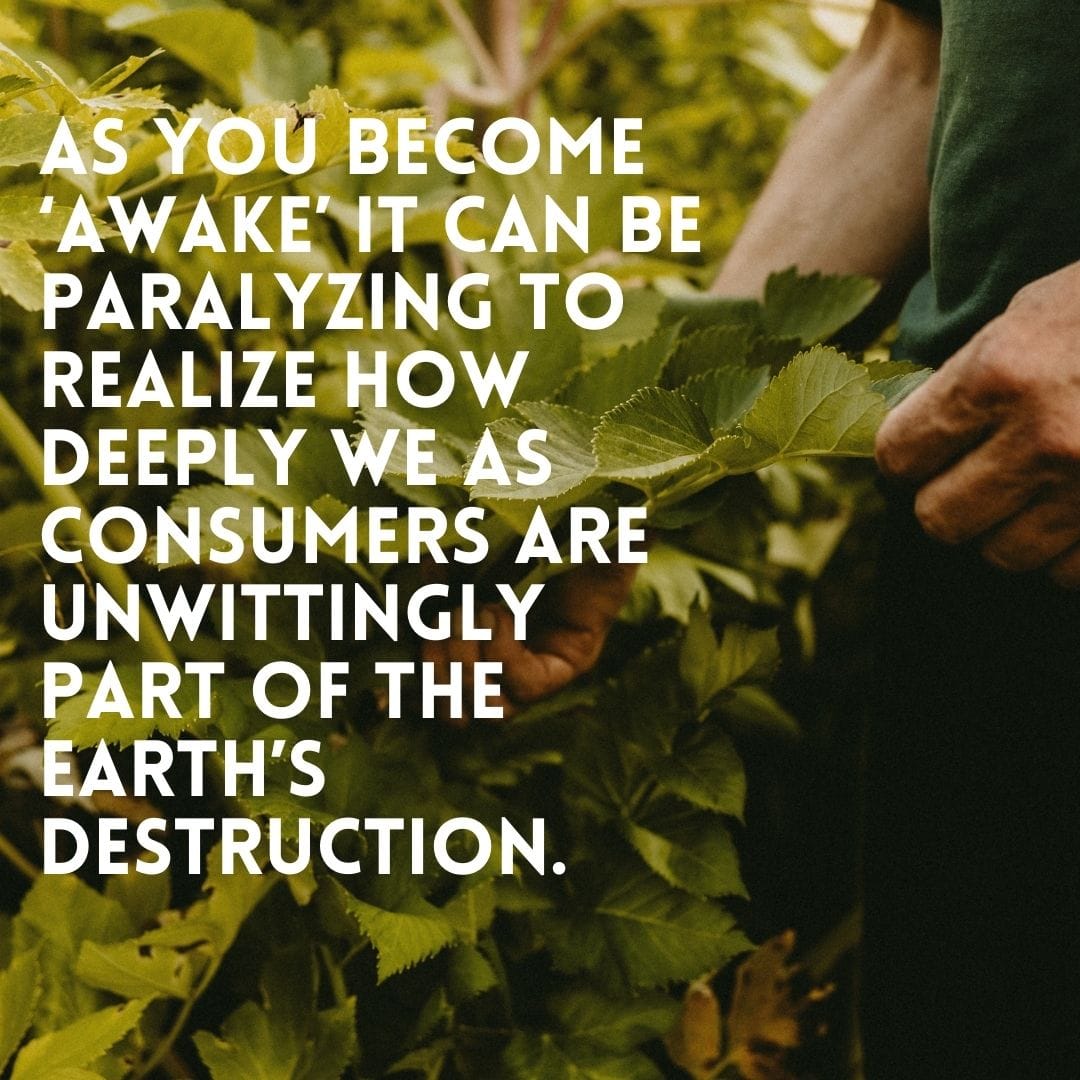 Co-Creative Wake: Online Course - Image 4
