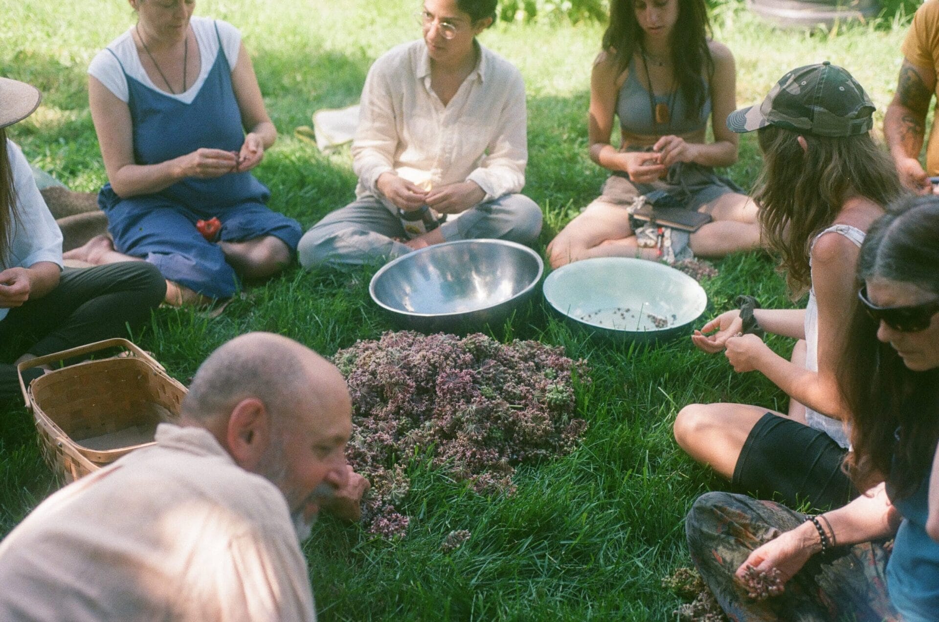 Sacred Gardener School