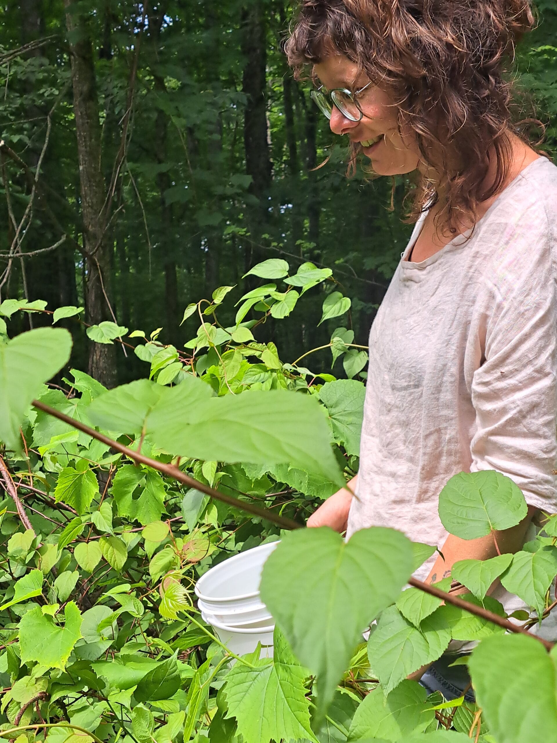 Wildculturing: an Introduction to the Fundamental Concepts - Image 2