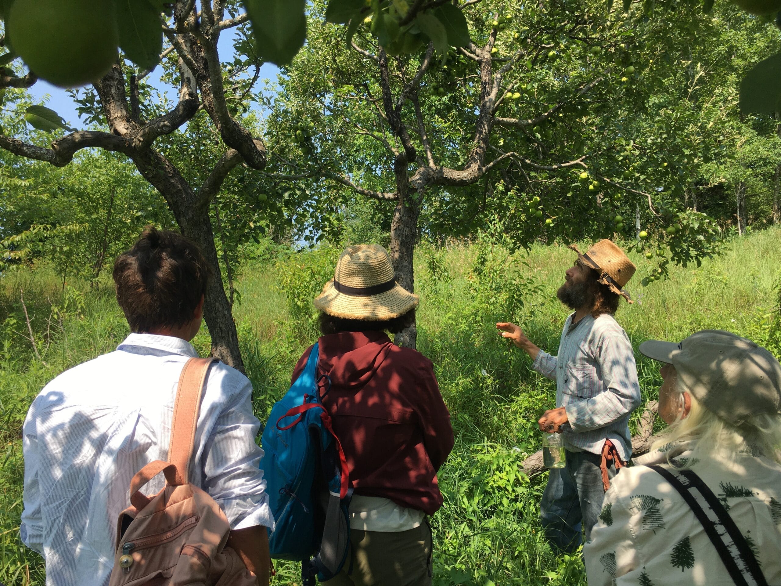Wildculturing: an Introduction to the Fundamental Concepts - Image 4