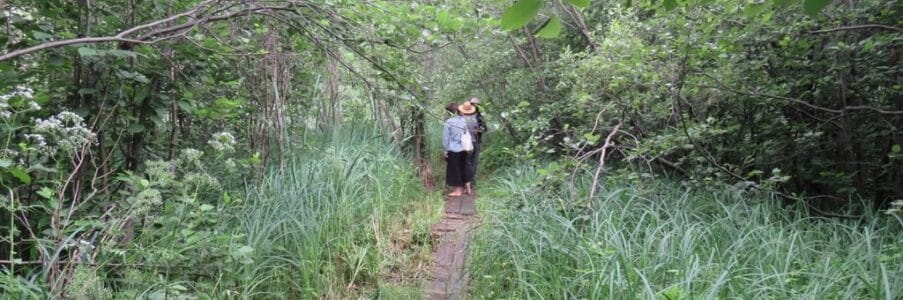 Initiatory Path