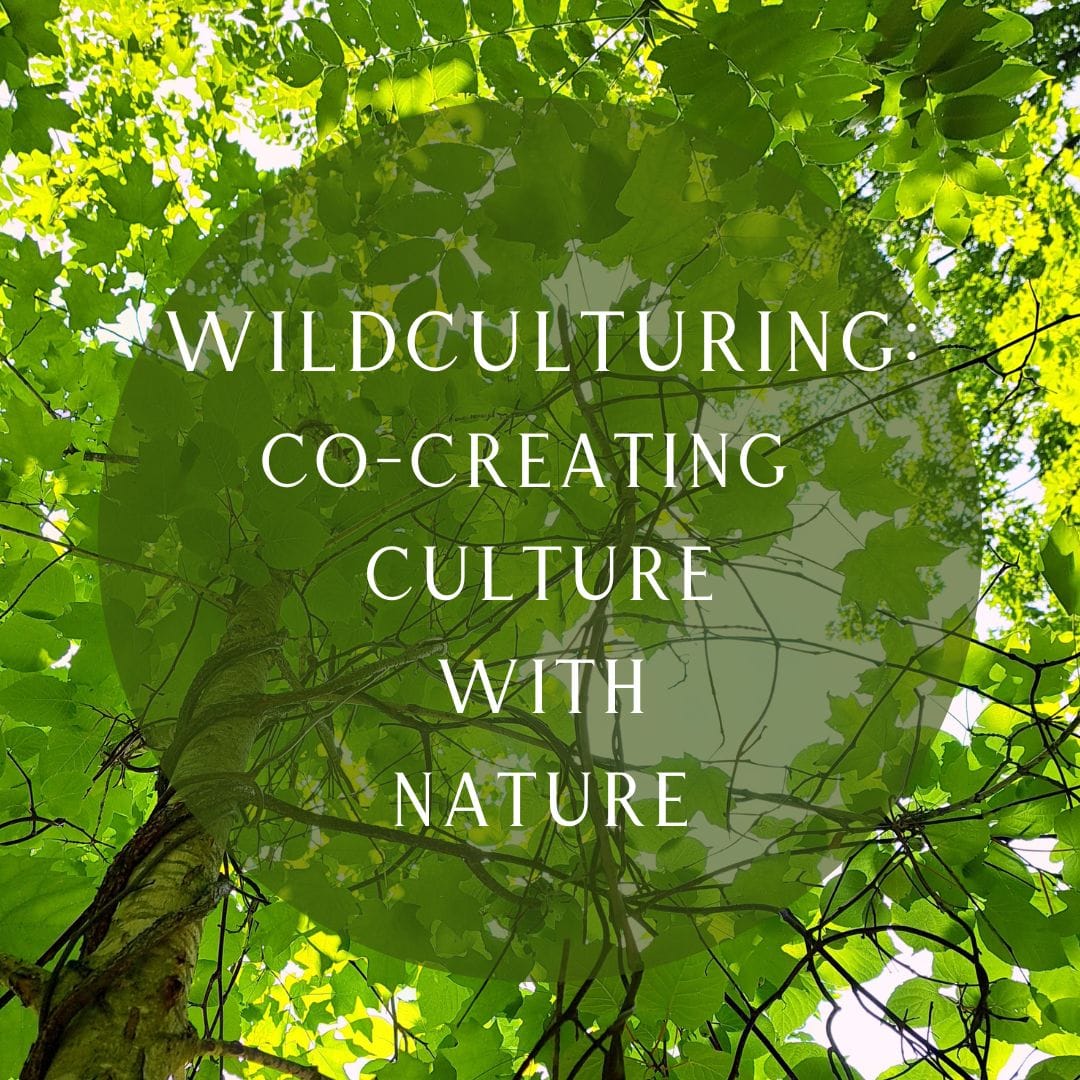 Wildculturing: an Introduction to the Fundamental Concepts