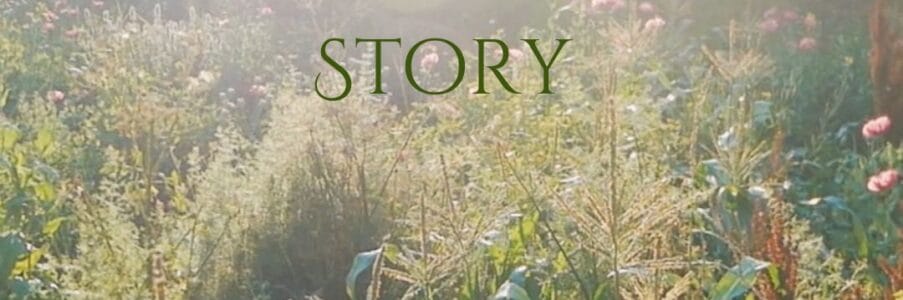 Wildculturing: The South Garden Story – The Course Material