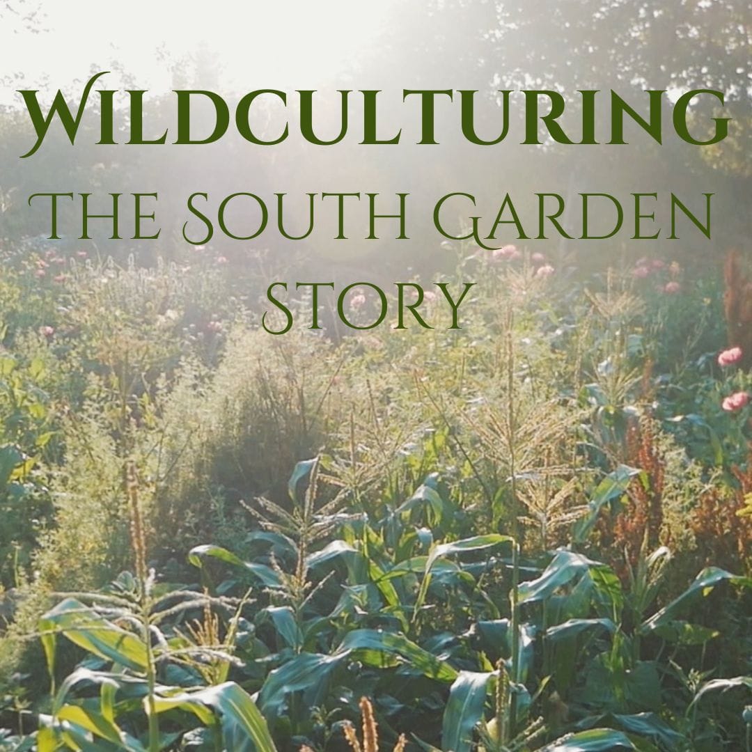 The Sacred Gardener