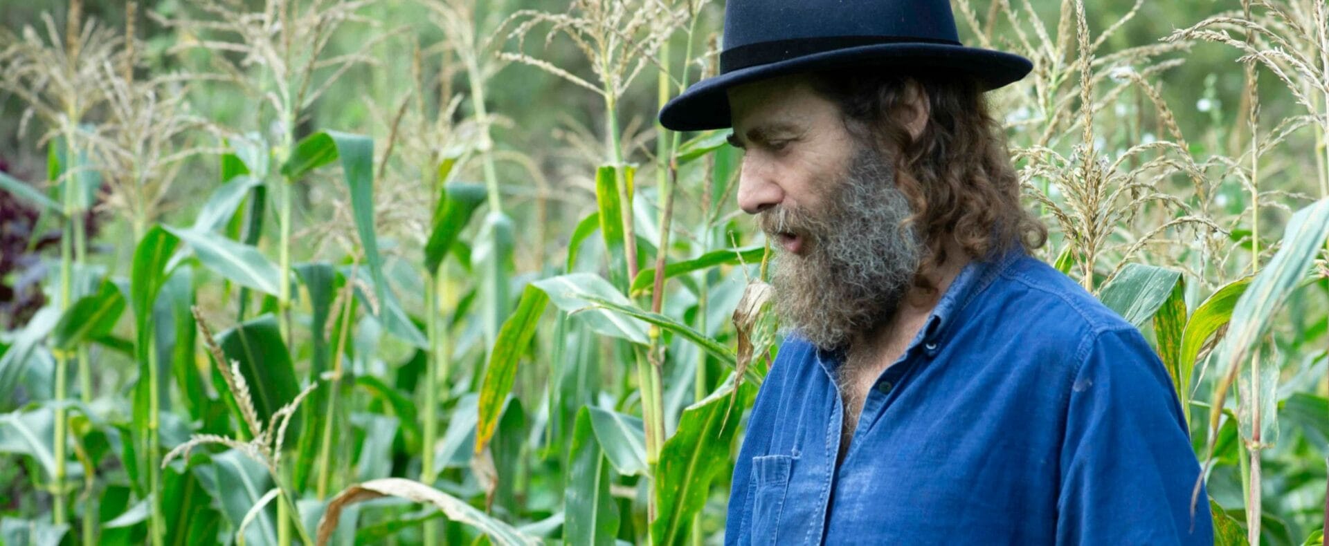 The Sacred Gardener